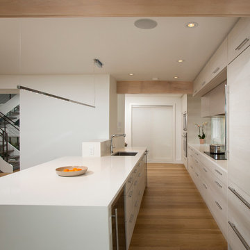 Contemporary Kitchen Design