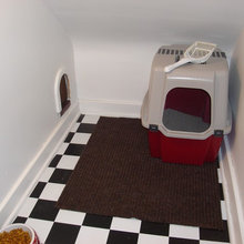 Pets and Their Spaces