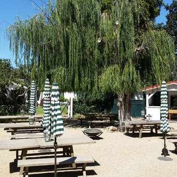 The Watering Hole