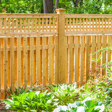 Fence and Garden