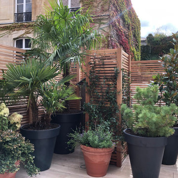 Aménagement d'une grande terrasse de 100m2 à Saint Germain des Près