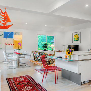 Modern modes in an eclectic Brookline, MA abode
