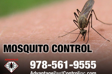 Mosquito Spraying in Topsfield, MA