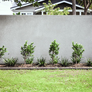 Northcote Point Landscape