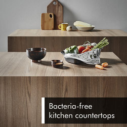 Veneer Laminates - Products