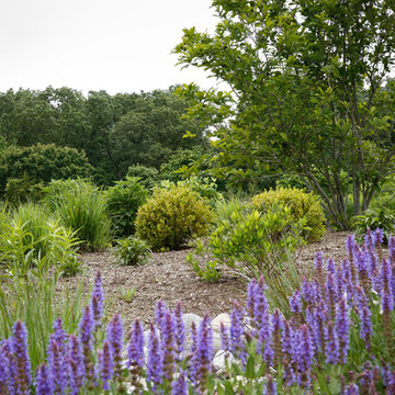 Conservation Meadowscape