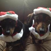 Kimberly Leach's photo
