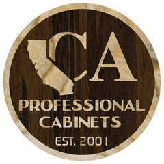 CA Professional Cabinet