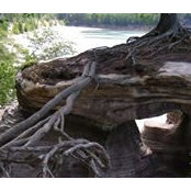 Jill Baugnet's photo
