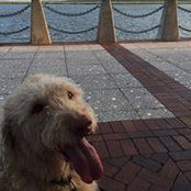 Cathy Daane's photo