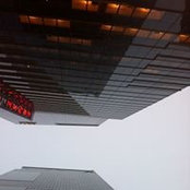 Foto von Toro Bess