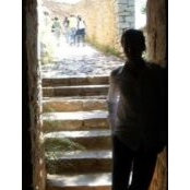 Angelos Alexopoulos's photo