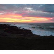 Joy Baldwin's photo