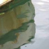 Laurie McNeill's photo