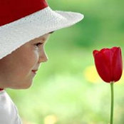Foto von Aliaa Moustafa