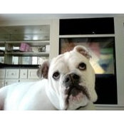 Debbie Hofmann's photo