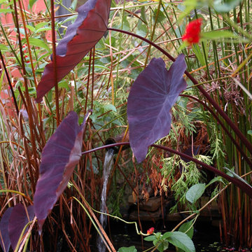 Water features