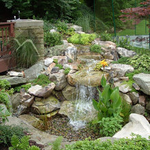 ponds