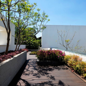 Pedregal 2