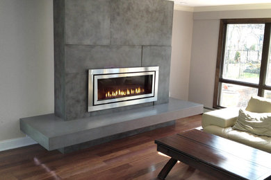 Living room - contemporary living room idea in New York