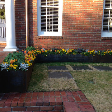 Beautiful Blooming Borders