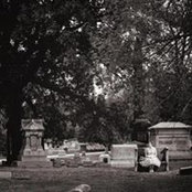 Lacey Shank's photo