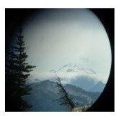 Marisa Monteverde's photo