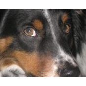 Michael Mahoney's photo