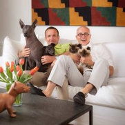 Foto de Violante & Rochford Interiors