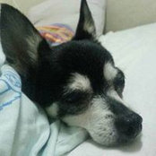陳又寧's photo