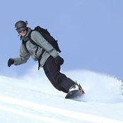 Mark Taylor's photo