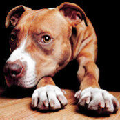 Tony Ryan's photo