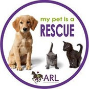 Carie Marienau's photo