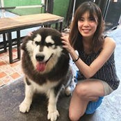 Sandy Leung's photo