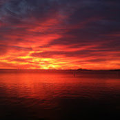 Patrick McAuilffe's photo