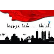 Fayez Antonios's photo