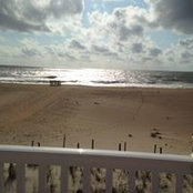 Cathy Burian's photo
