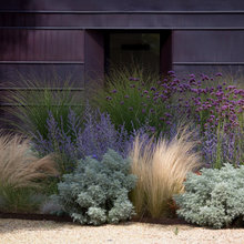 rohlik's jardin
