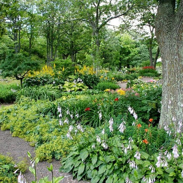 The Healing Benefits of a Garden: