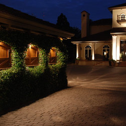 Lake Austin - Landscape Lighting