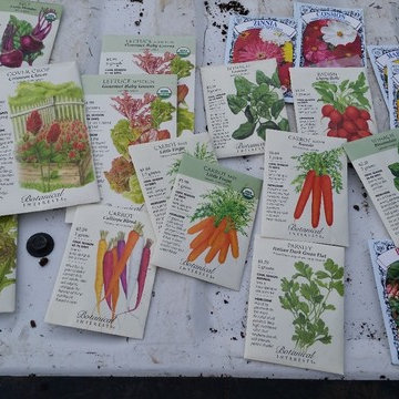 Winter Garden 1