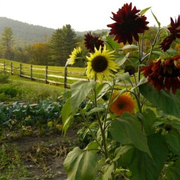 Estate Garden, East Barnard, Vermont
