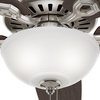 5-Blade Single Light Ceiling Fan With Brazilian Cherry/Stained Oak Blades