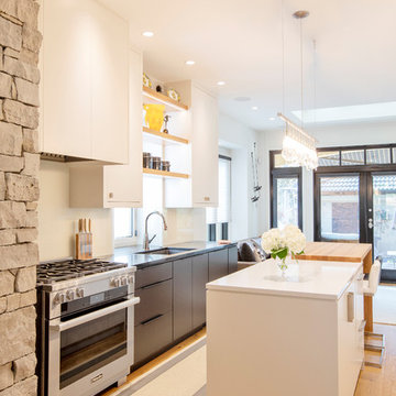 Modern Galley Kitchen