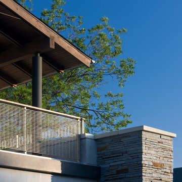 Azalea