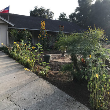 Landscape Maintenance