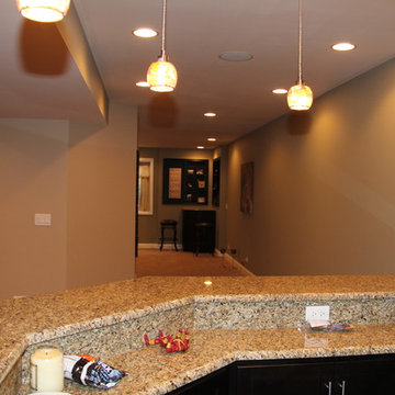 Lake Zurich Basement