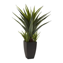 Agave Plant with Black Planter - Indoor Pots And Planters