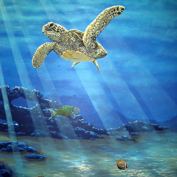 All Sea Life Murals and Painting Projects over the years by Mural Art LLC