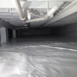 Crawl Space Mold Remediation - Home Improvement